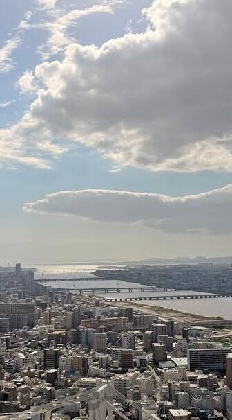 乐鱼体育导航-乐鱼体育导航，构建多元化体育观看体验的新平台